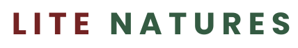 litenatures.in